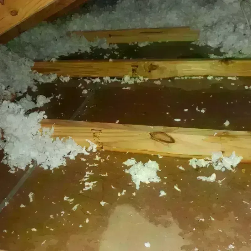 Attic Water Damage in Smithville, OH